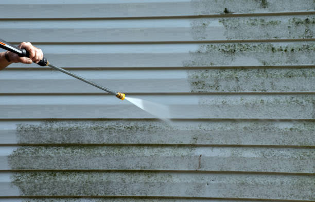Best Best Pressure Washing Companies  in Osceola, MO